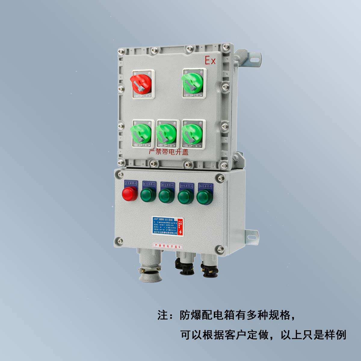 BXM(D)58 系列防爆照明(動力)配電箱 (ⅡB、ⅡC、DIP)